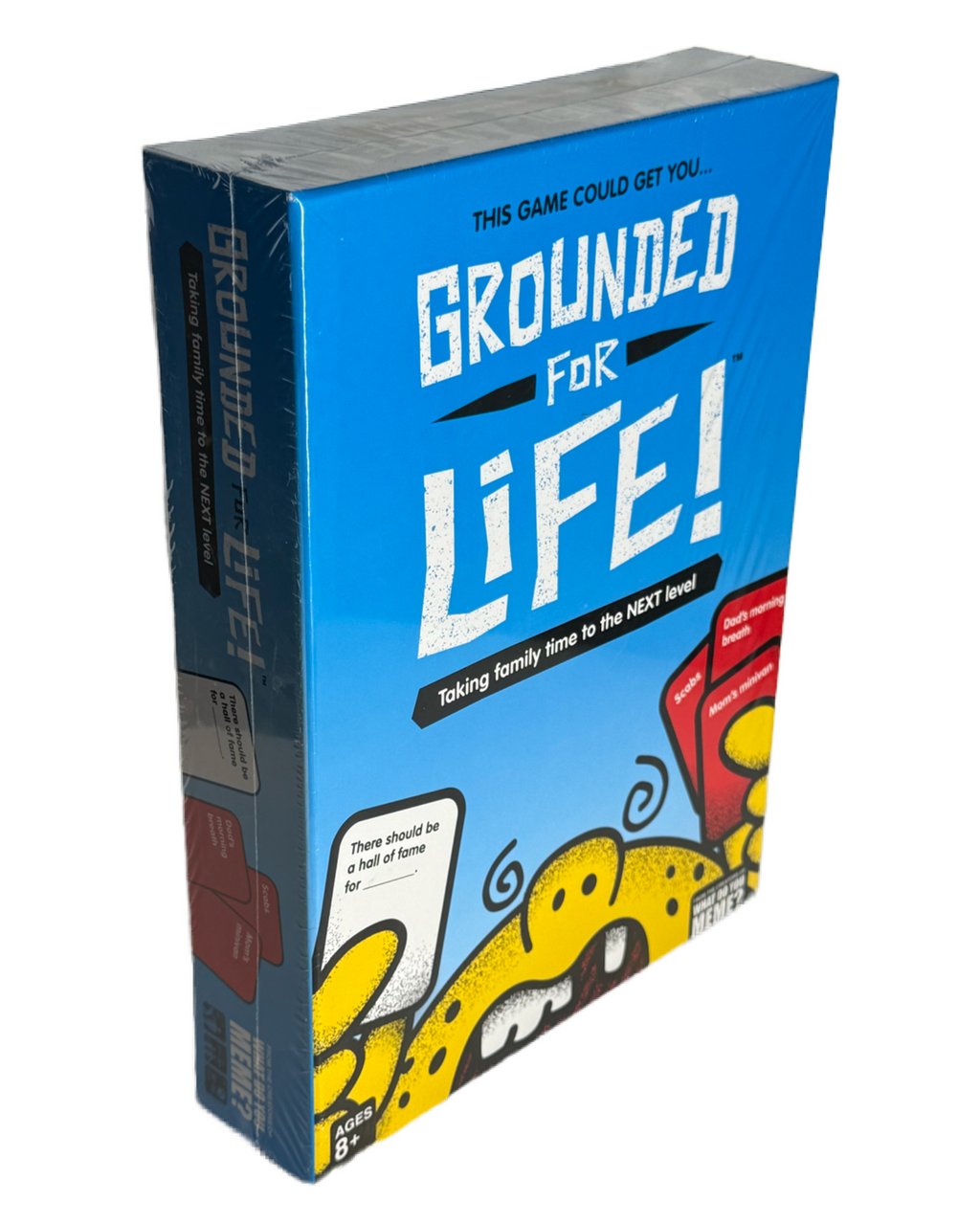 Grounded For Life! Board Game
